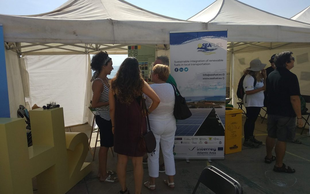 SEAFUEL organizes several activities during the month of November in Tenerife